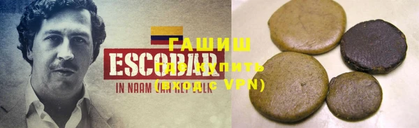 стаф Алзамай