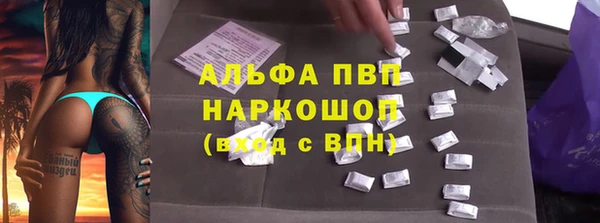 гашик Алексеевка