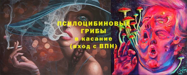 стаф Алзамай