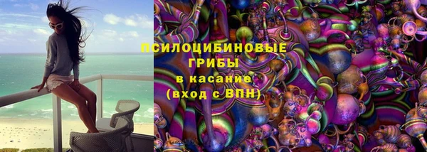 гашик Алексеевка