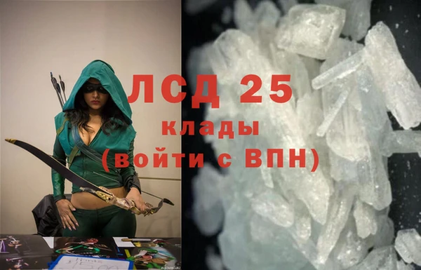 стаф Алзамай