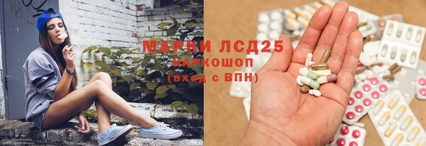 гашик Алексеевка